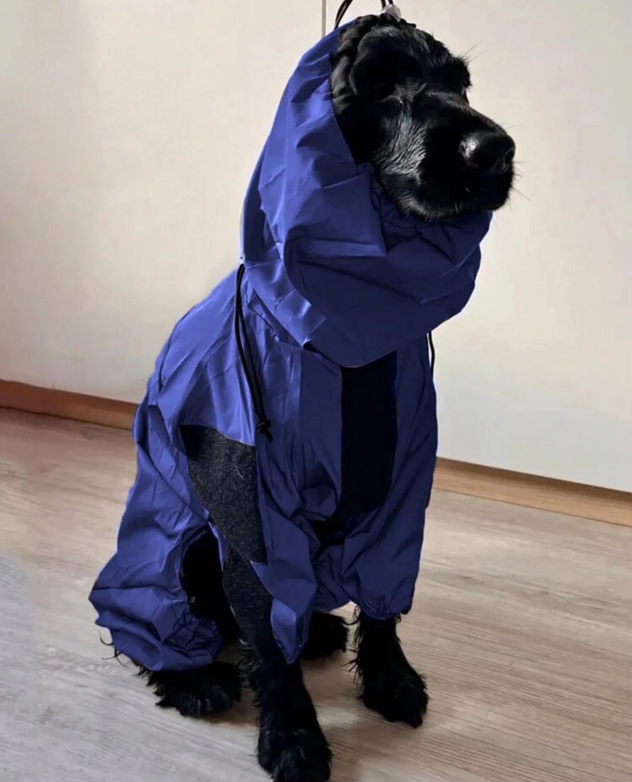 Navy Blue Fleece Raincoat