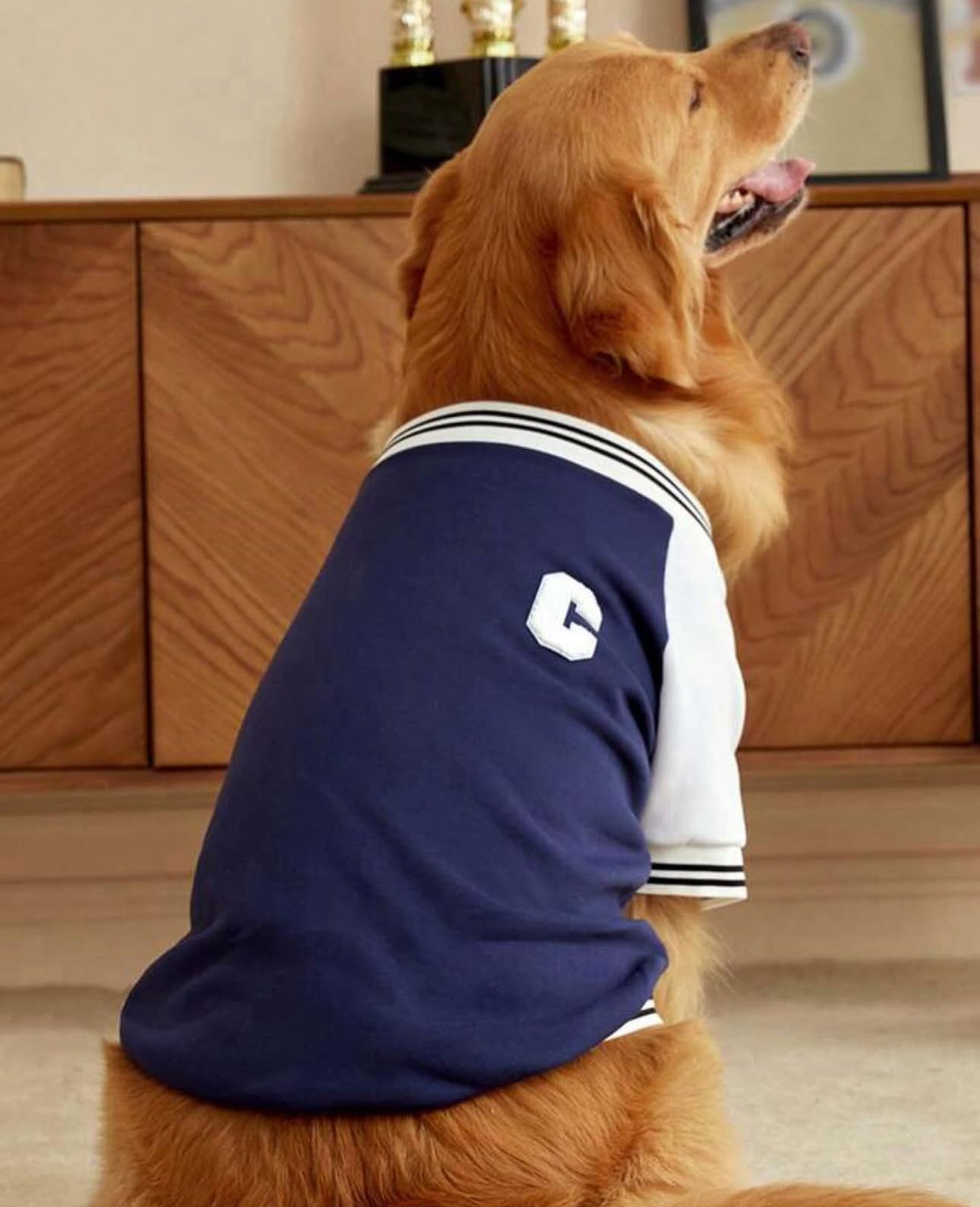 Navy Blue Fleece Sweatshirt