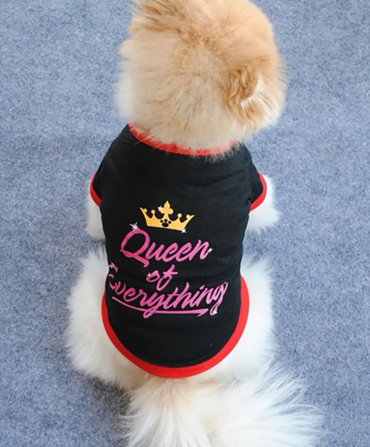 Pet Shirt – Stylish
