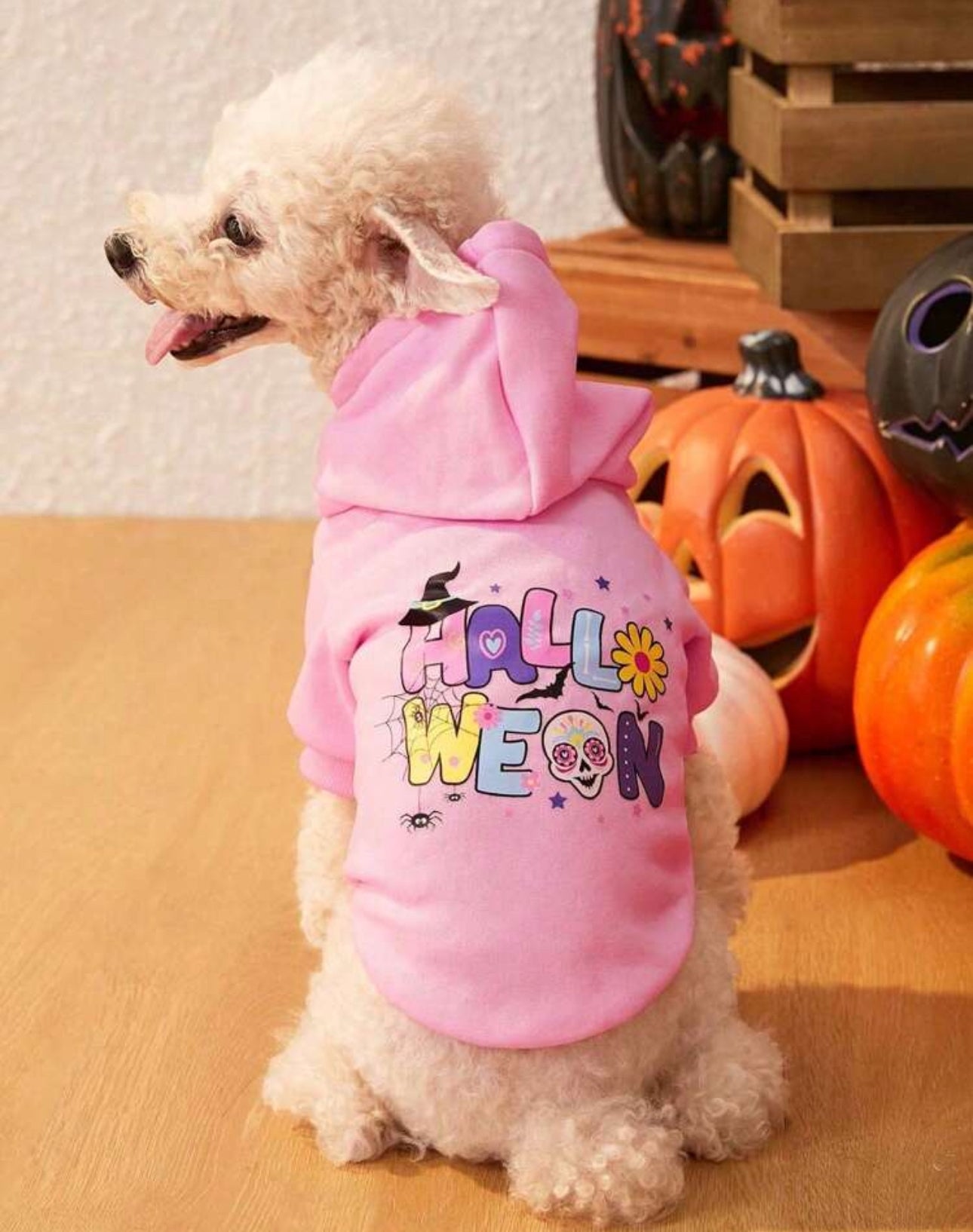 Pink Fleece Halloween Hoodie
