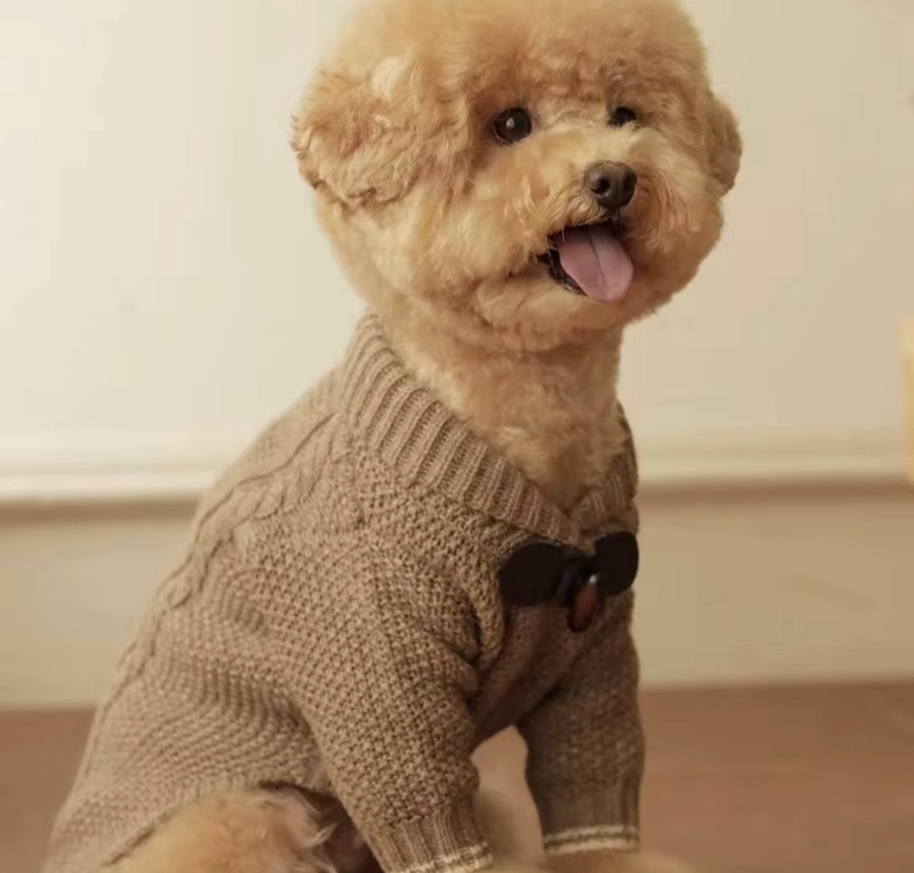 Brown Sweater