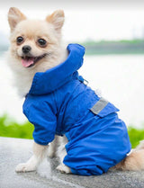 Protective Raincoat For small Dogs