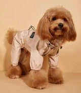 Pet Raincoat – Adjustable Bust for Happy Outdoor Play on Rainy Days