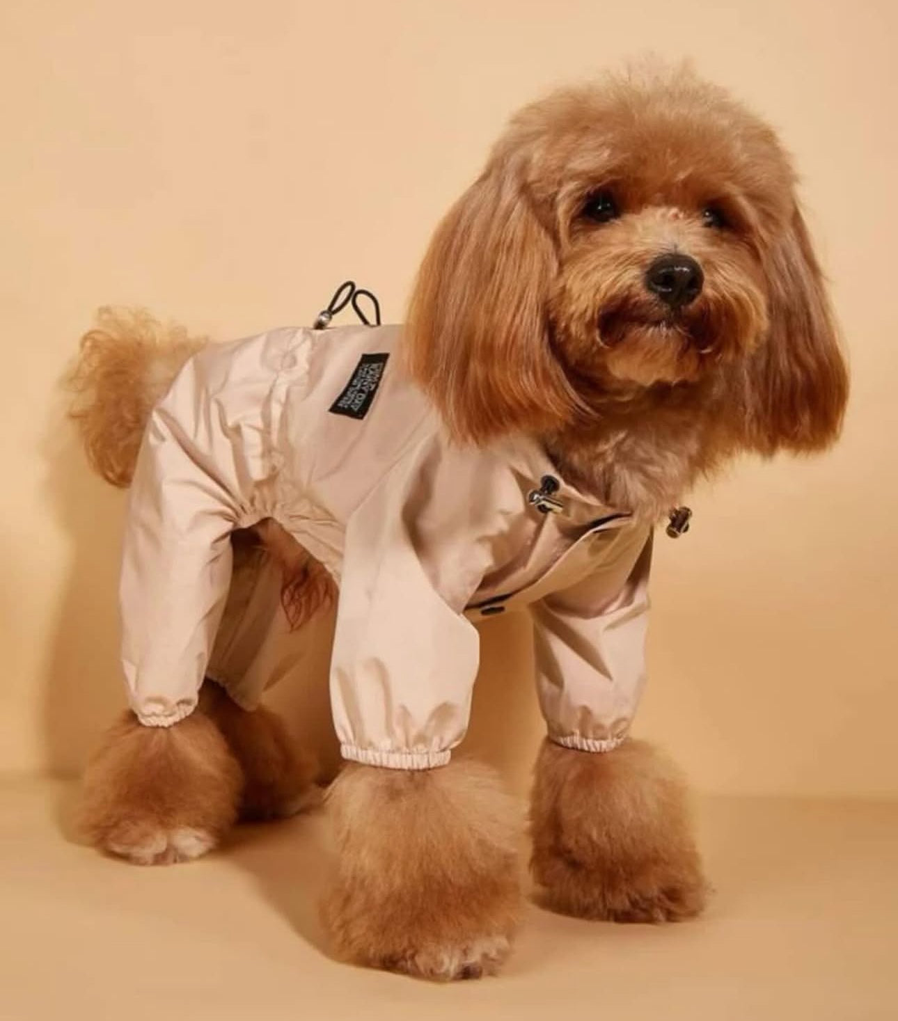 Pet Raincoat – Adjustable Bust for Happy Outdoor Play on Rainy Days