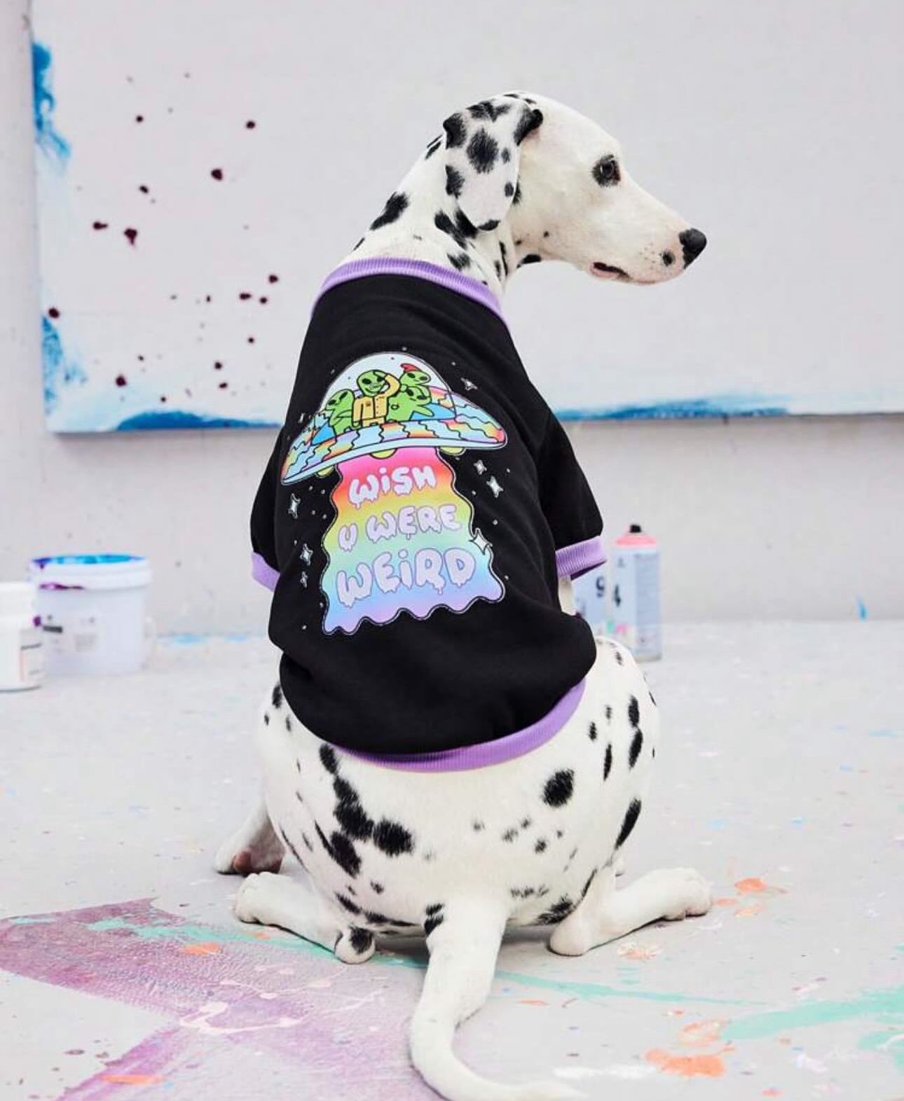 Cozy Fleece Sweatshirt big Dogs