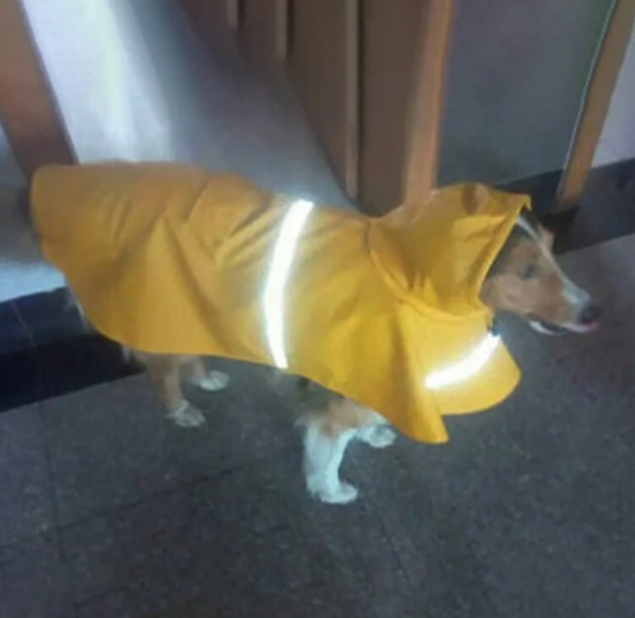 Yellow Reflective Raincoat
