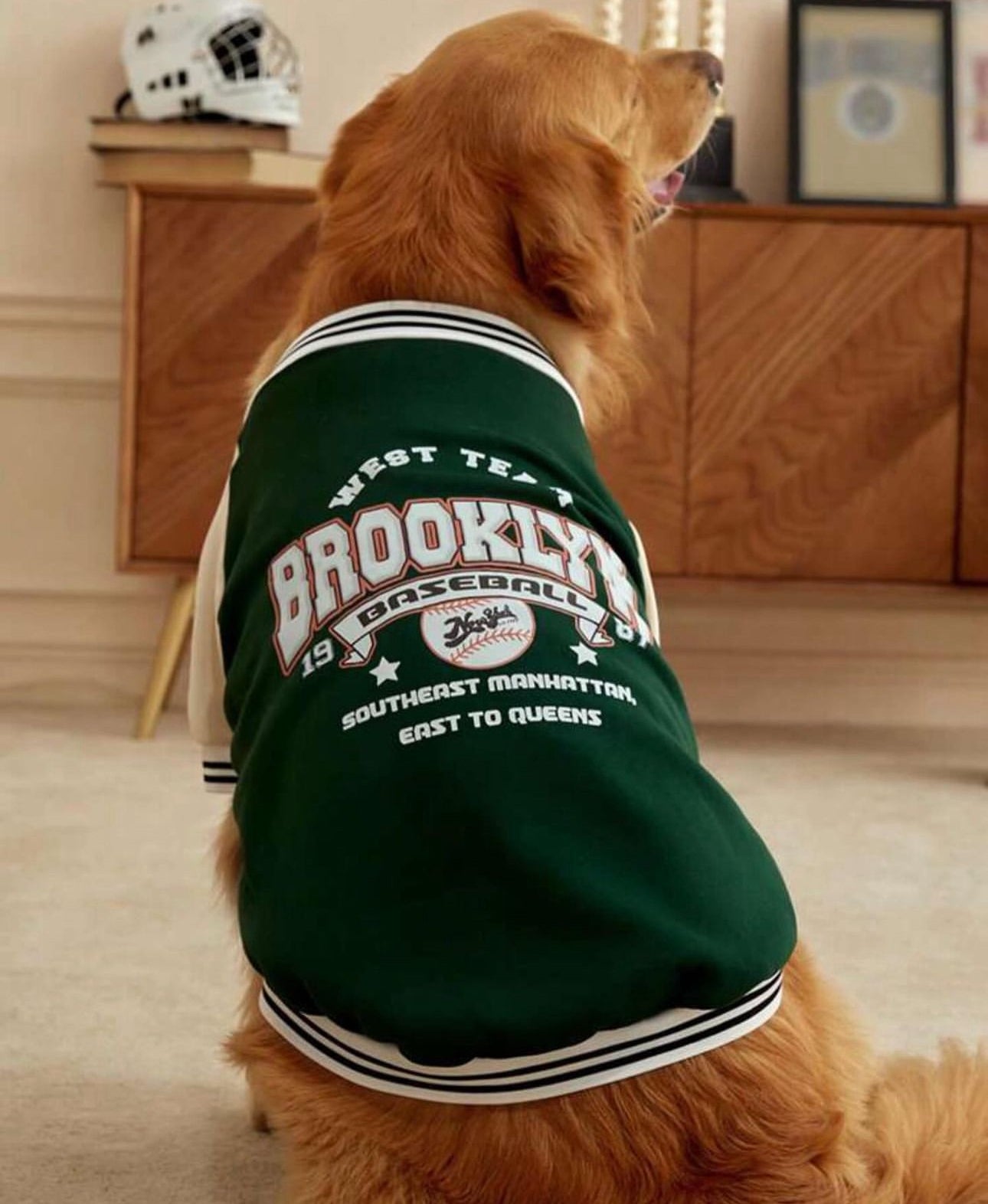 Green Dog Sweatshirt Jacket