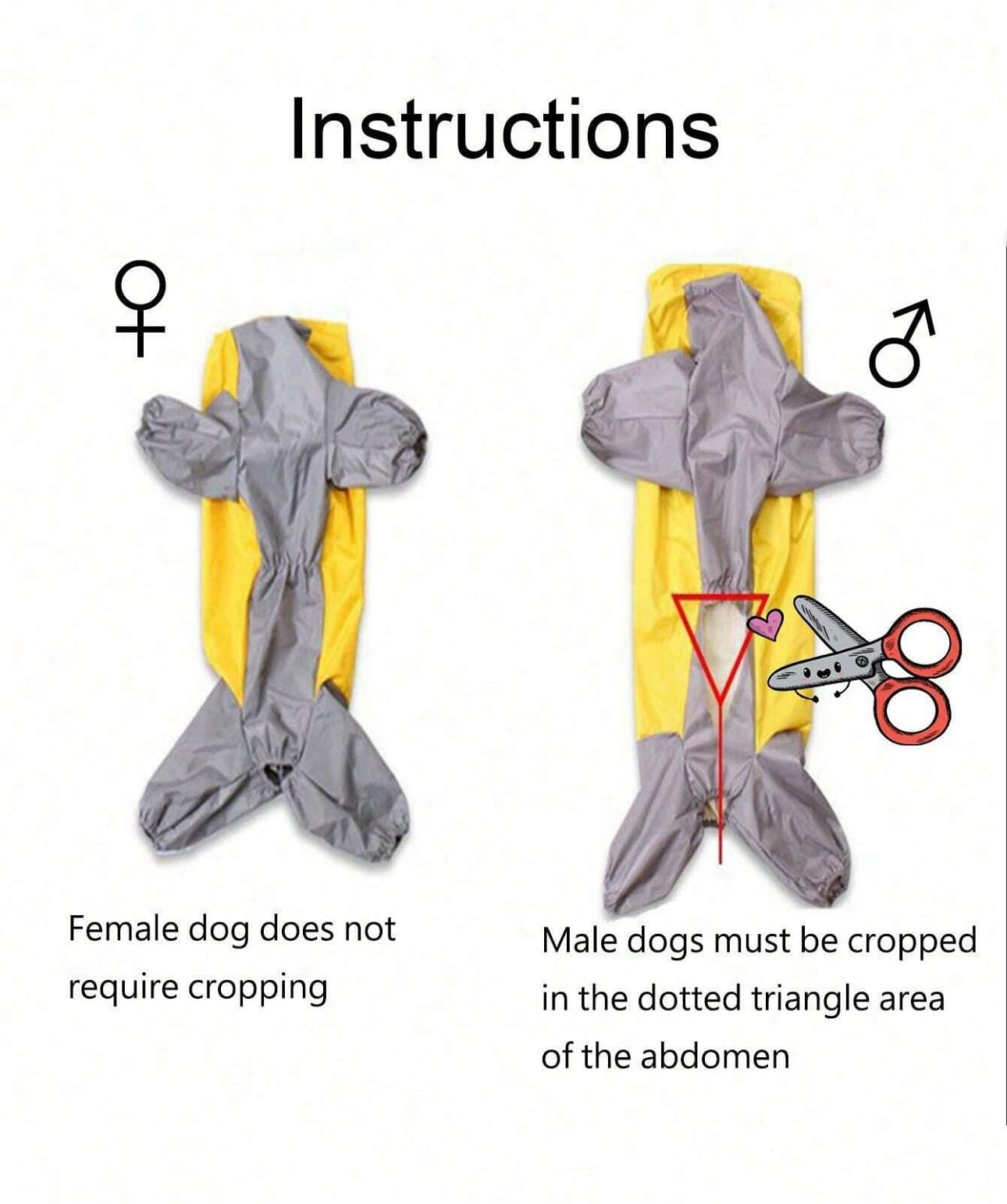 Full Coverage Raincoat for Big Dogs
