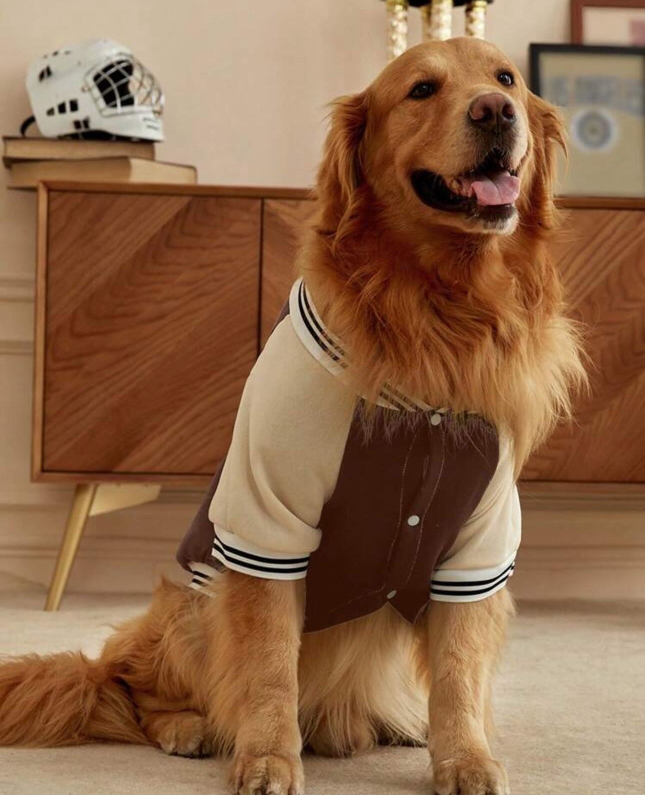 Brown Dog Sweatshirt Jacket