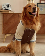 Brown Dog Sweatshirt Jacket