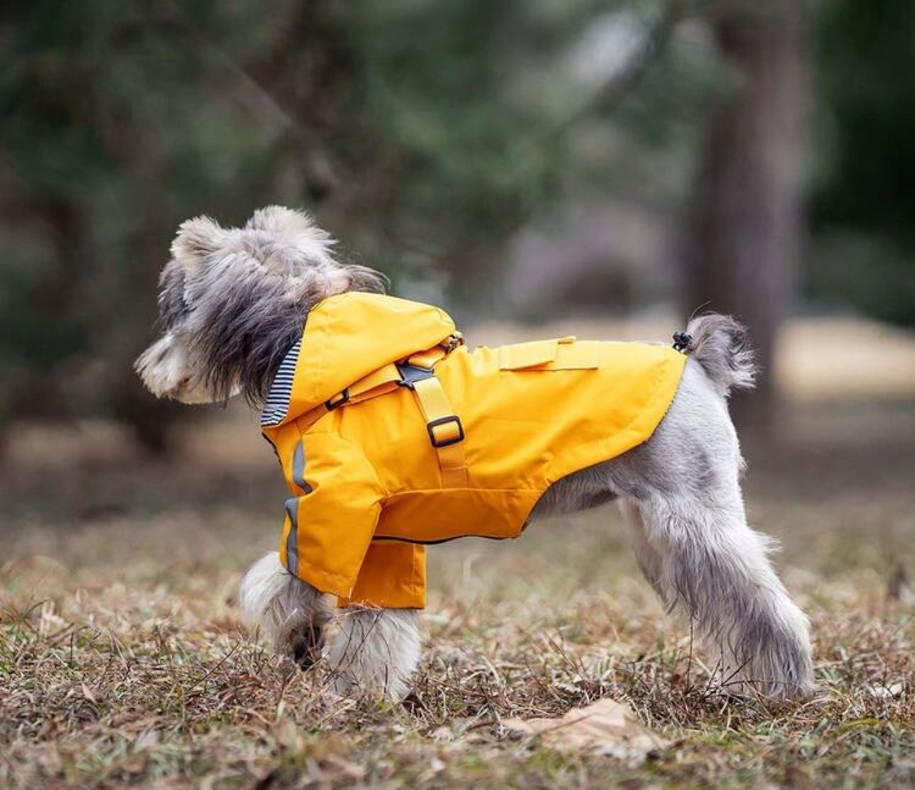 Waterproof Dog Raincoat with Hood & Zipper –Reflective,Adjustable,Harness & Treat Pocket