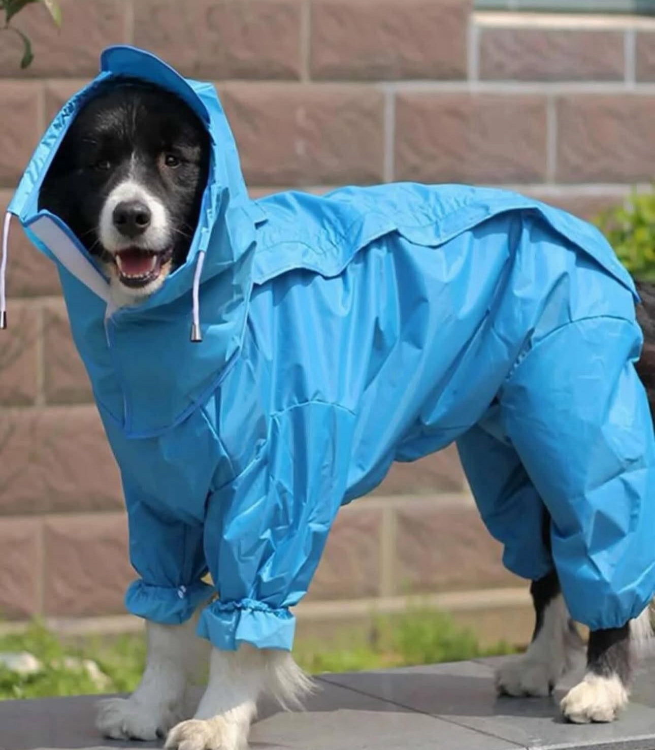 Full Coverage Raincoat