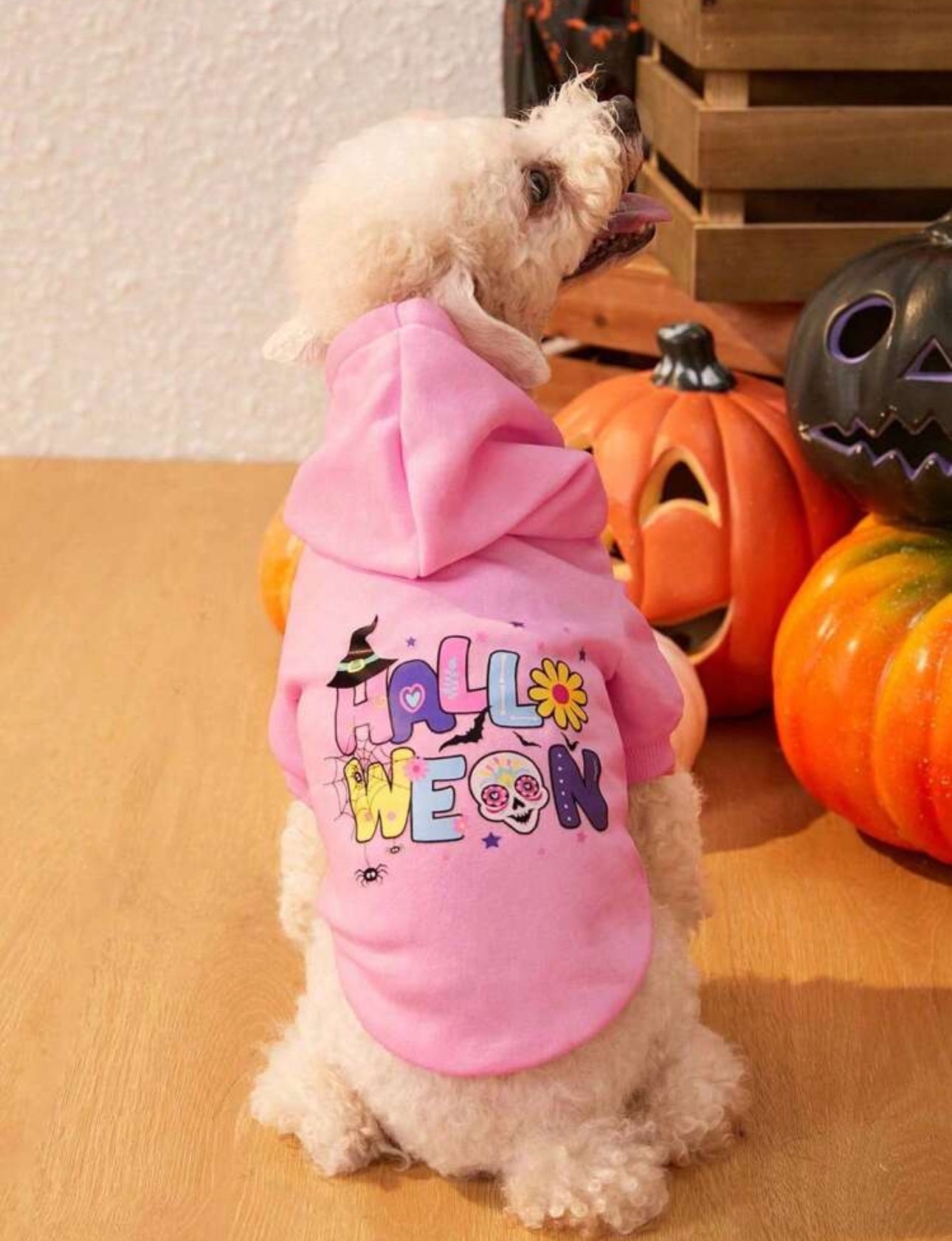 Pink Fleece Halloween Hoodie