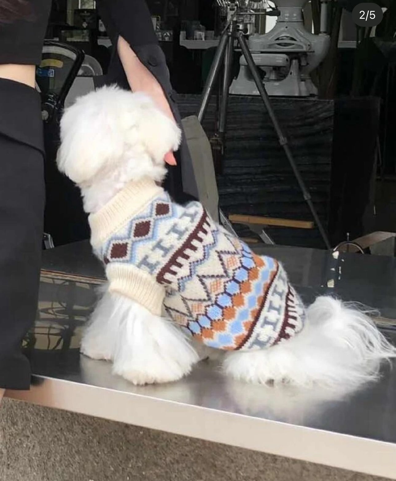 Soft Wool Sweater for Dogs