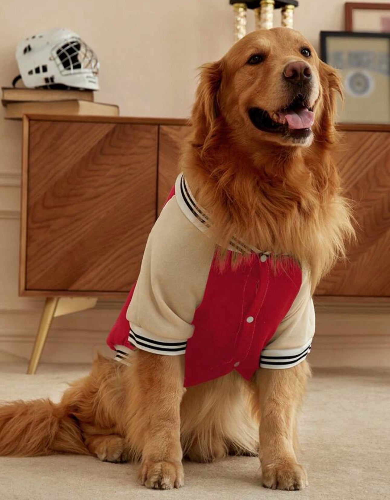 Red Dog Sweatshirt Jacket