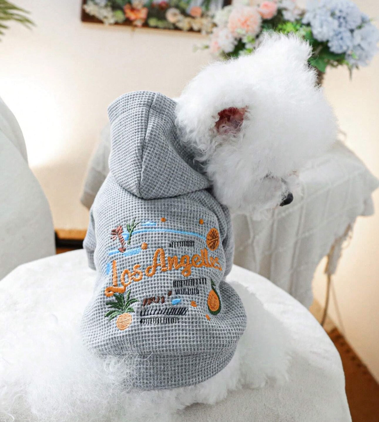 Pet Hoodie Jacket – “Los Angeles”