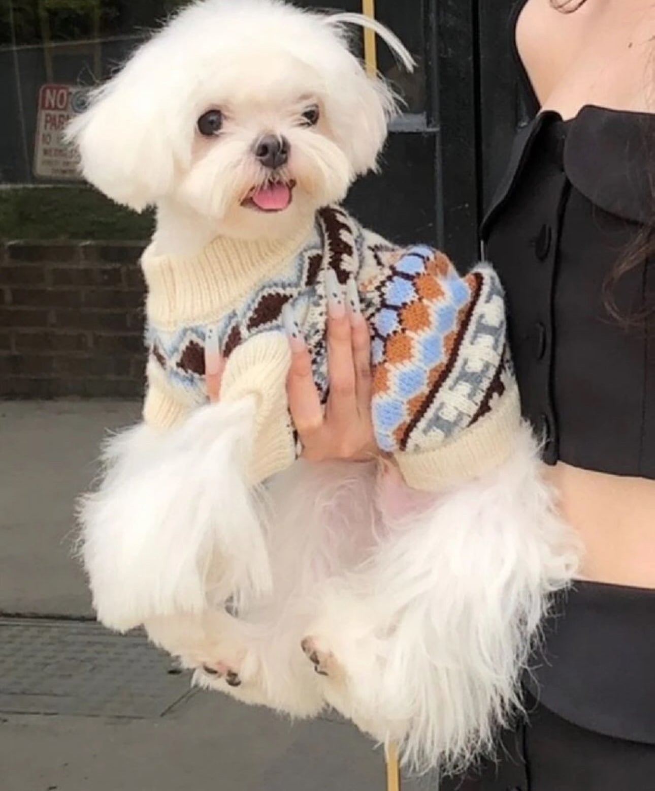 Soft Wool Sweater for Dogs