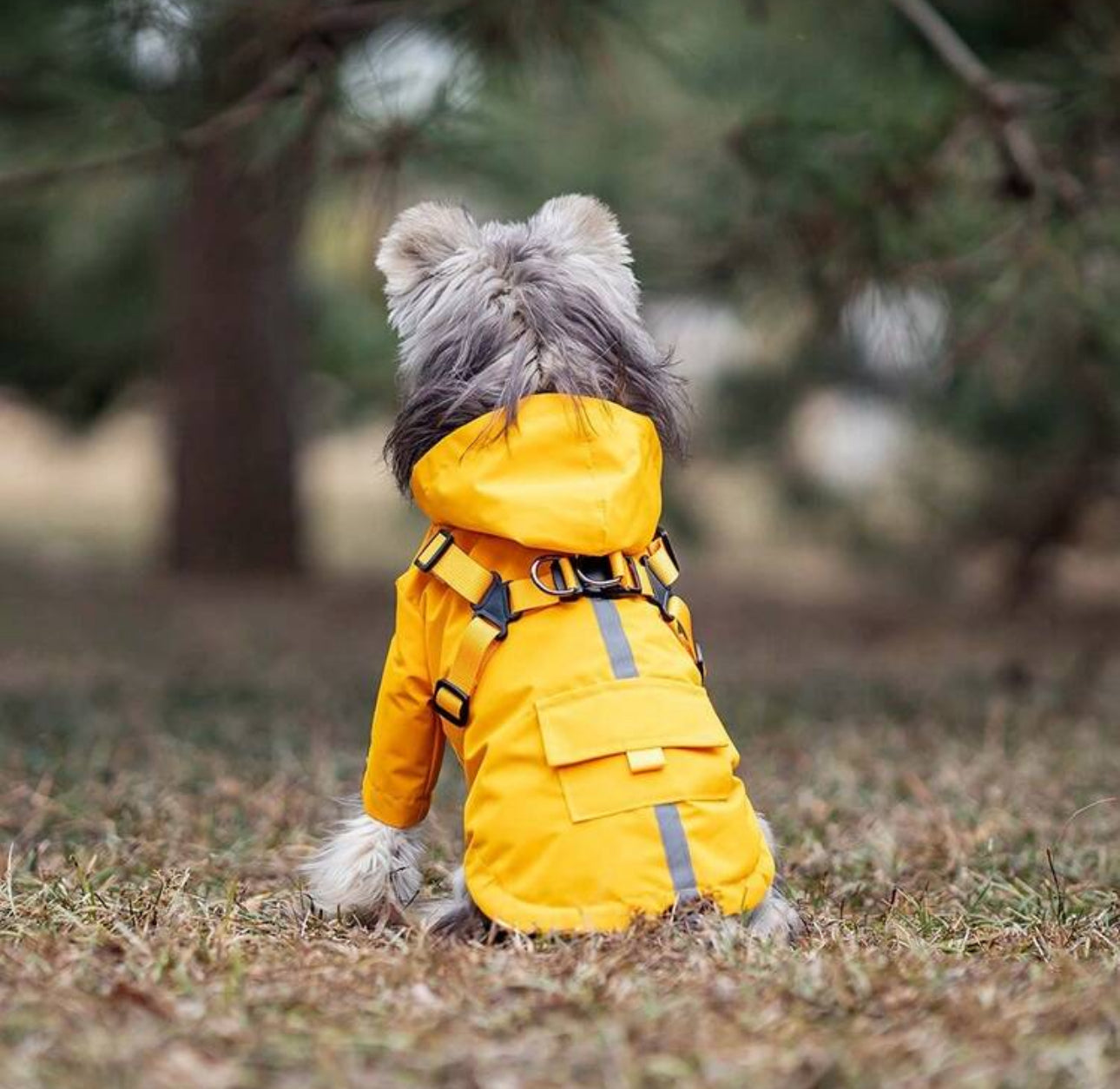 Waterproof Dog Raincoat with Hood & Zipper –Reflective,Adjustable,Harness & Treat Pocket