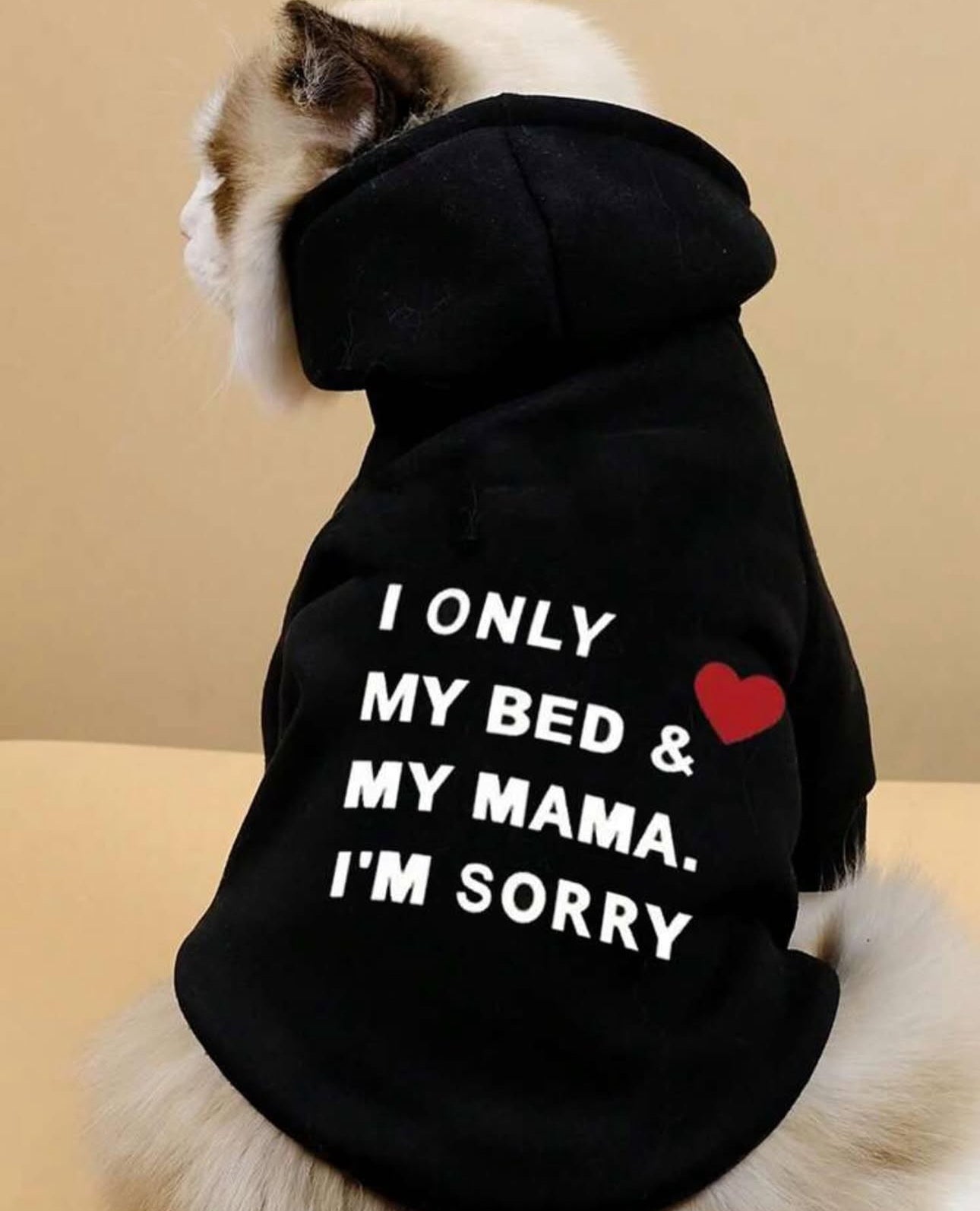 Black Fleece Hoodie