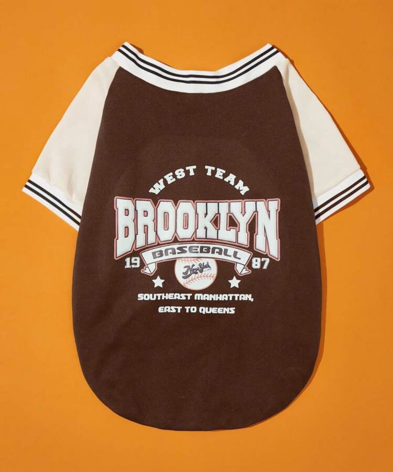 Brown Dog Sweatshirt Jacket