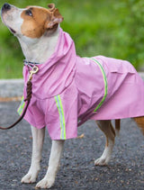 Purple Reflective Raincoat-small & medium Dogs
