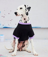 Cozy Fleece Sweatshirt big Dogs