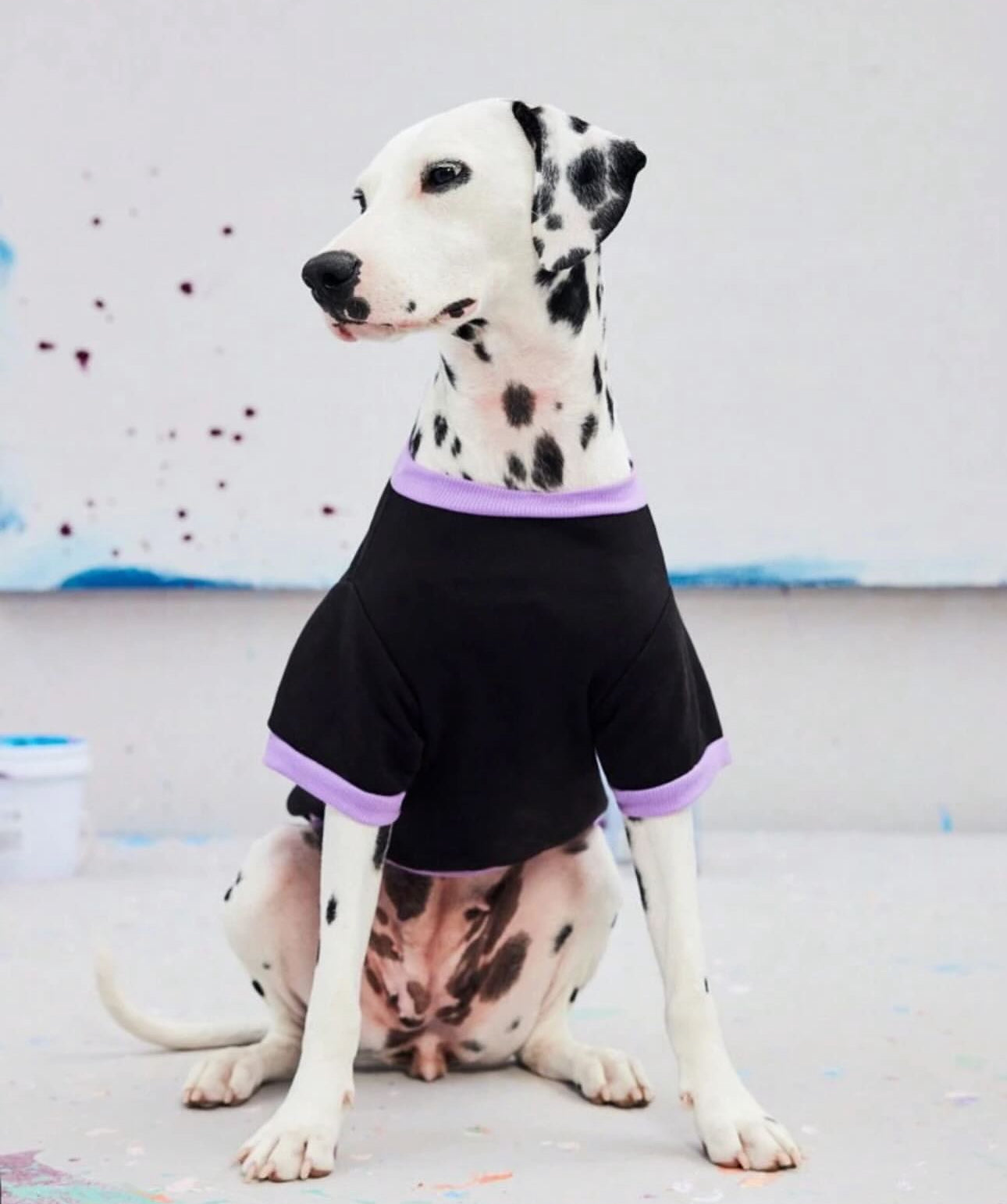Cozy Fleece Sweatshirt big Dogs
