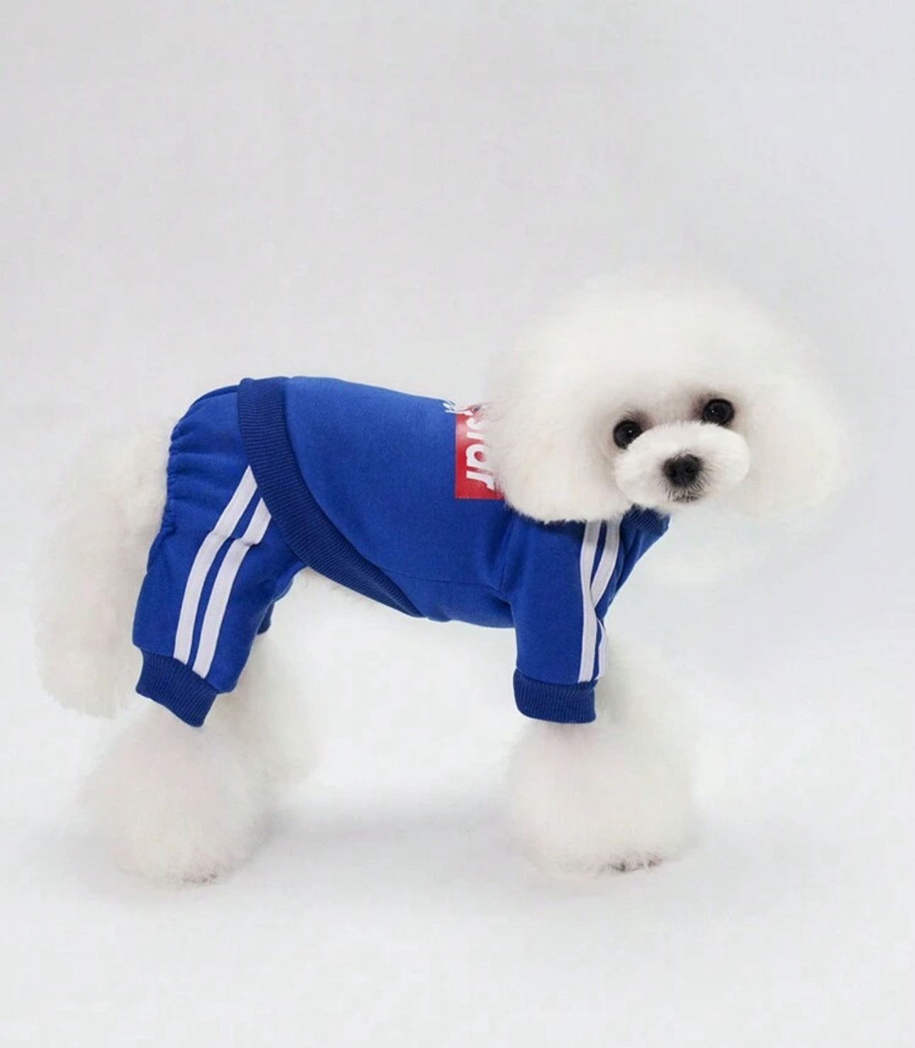 Blue Sportive Pet Jumpsuit