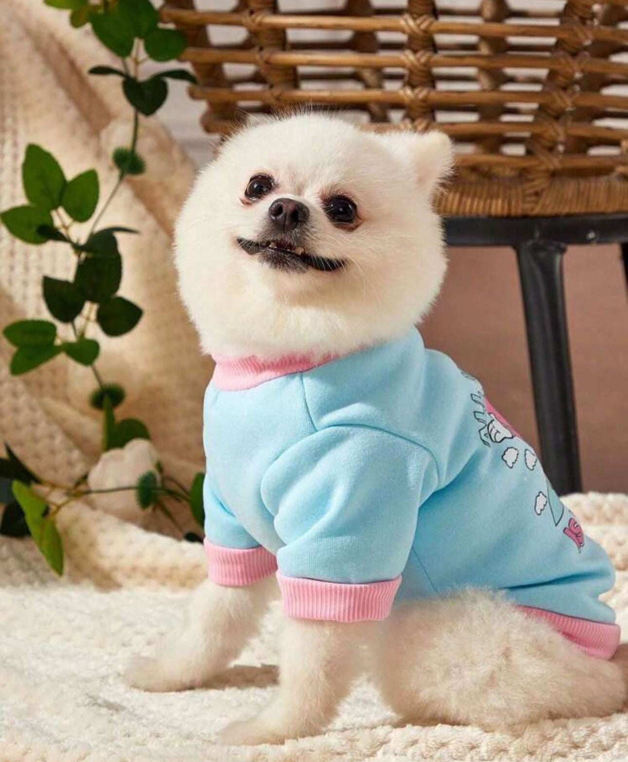 Baby Blue Fleece Sweatshirt