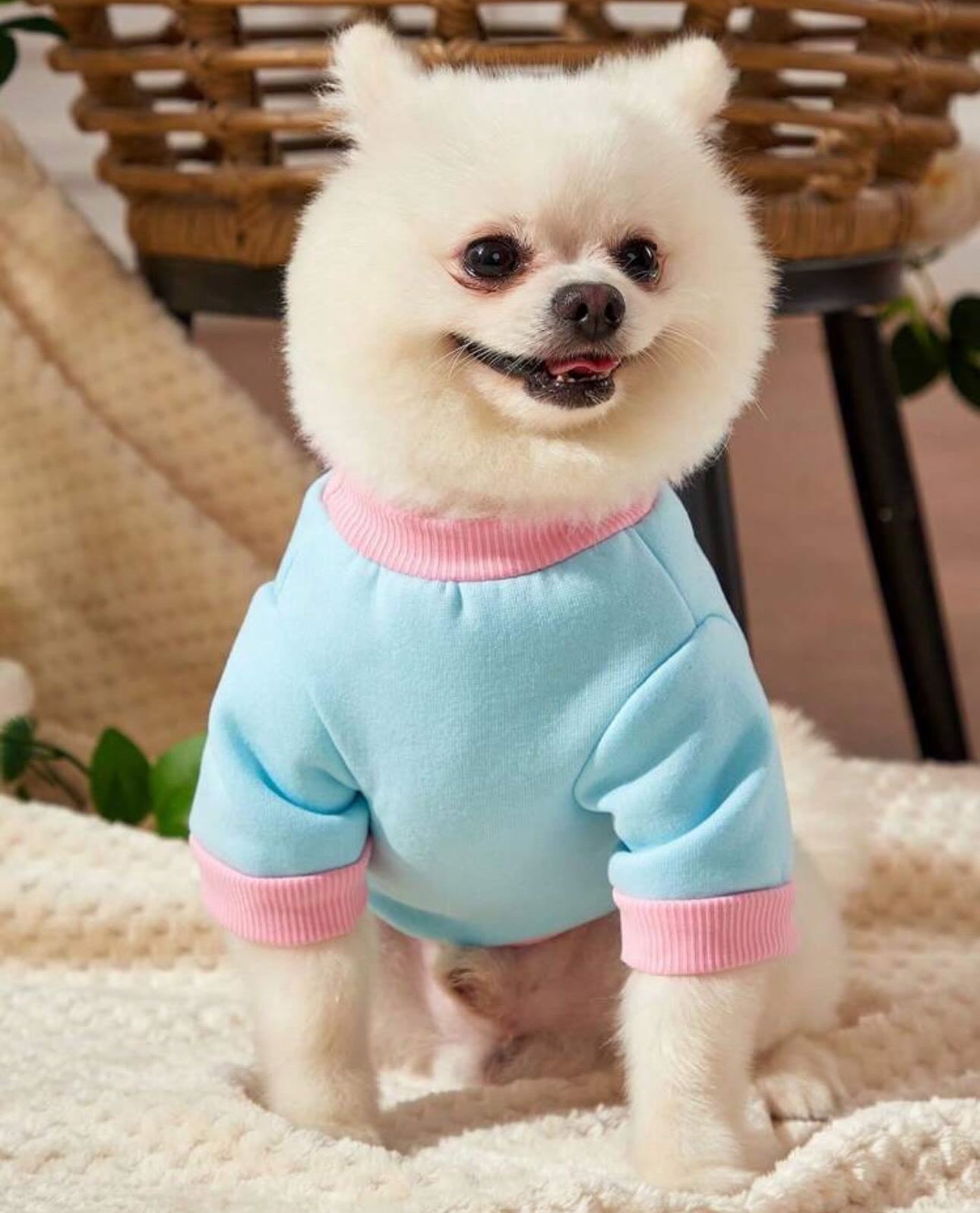 Baby Blue Fleece Sweatshirt