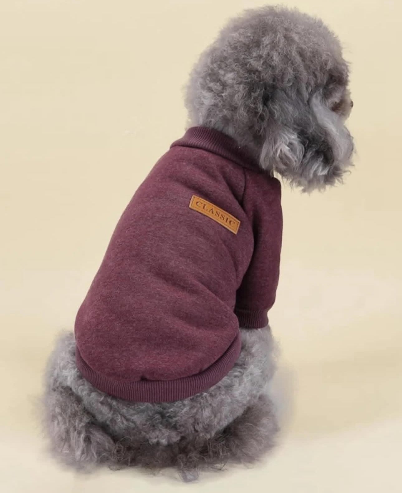 Classic Fleece Sweatshirt