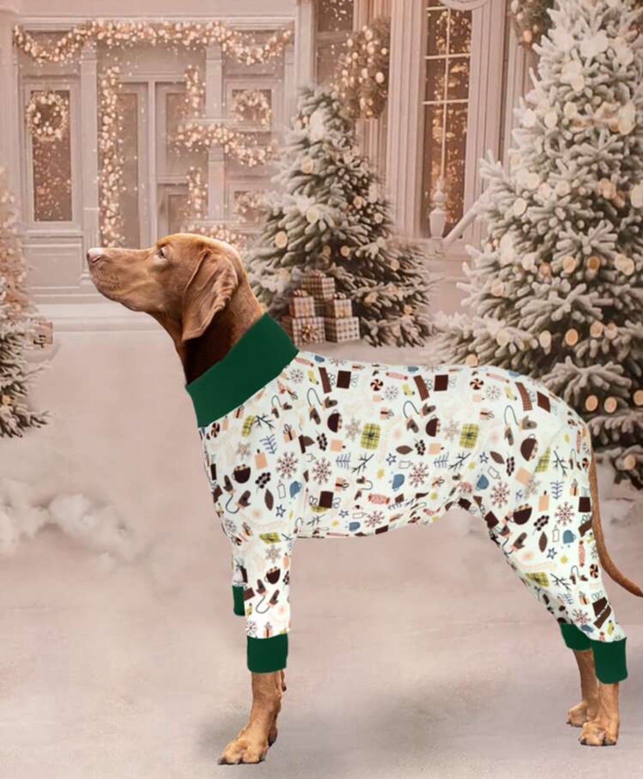 Green- Festive Print Dog Jumpsuit