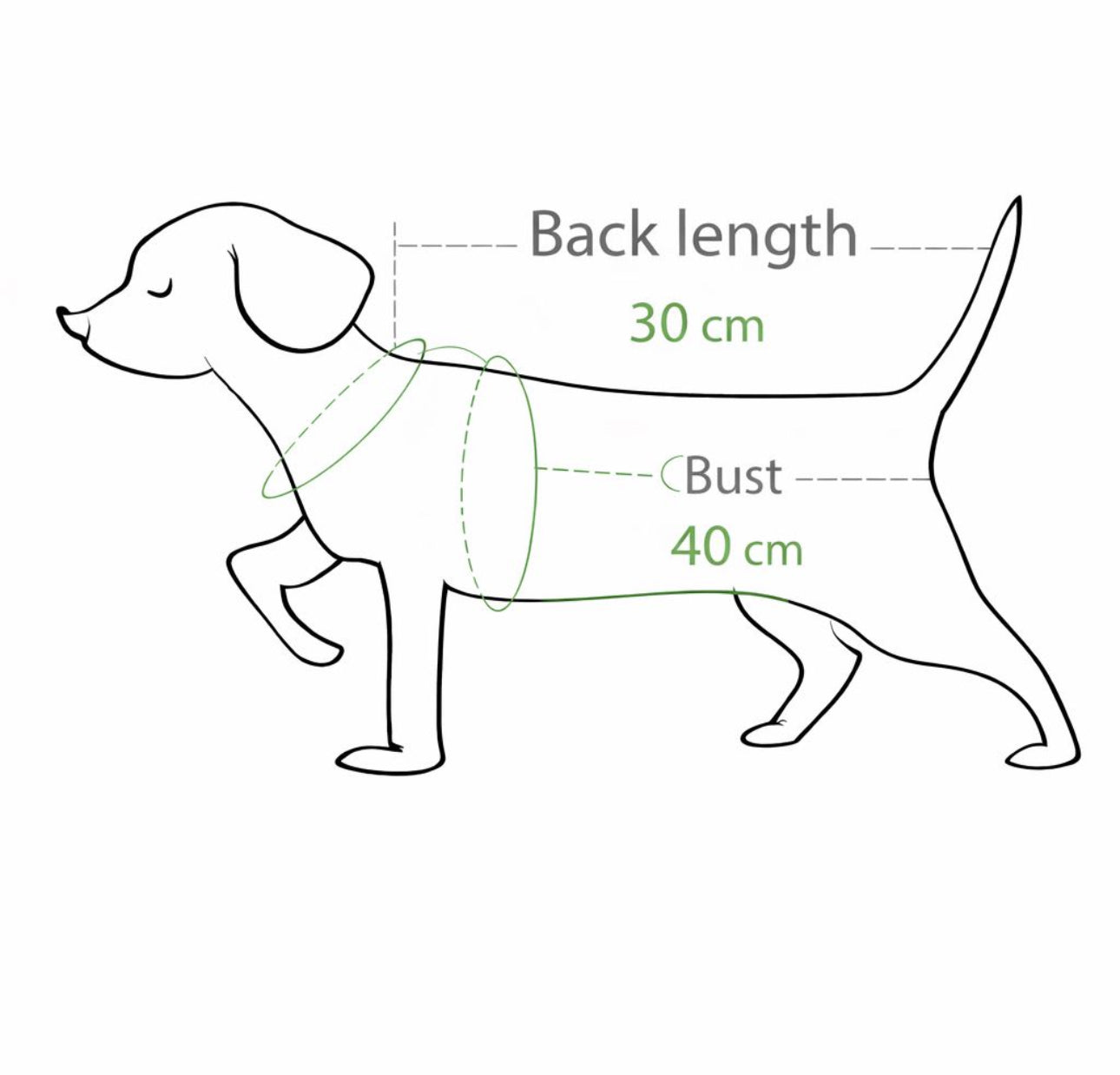 Pet Hoodie Jacket – “Los Angeles”
