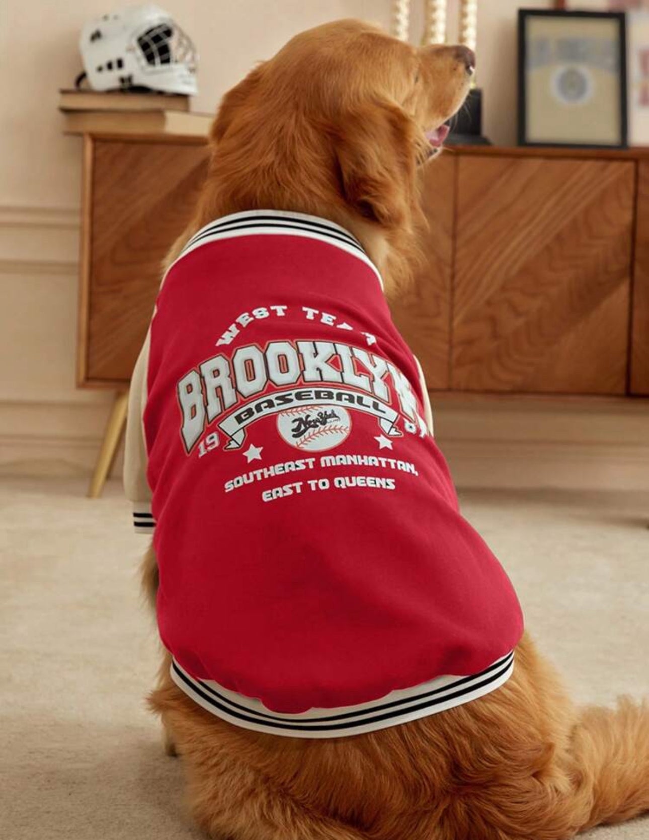 Red Dog Sweatshirt Jacket
