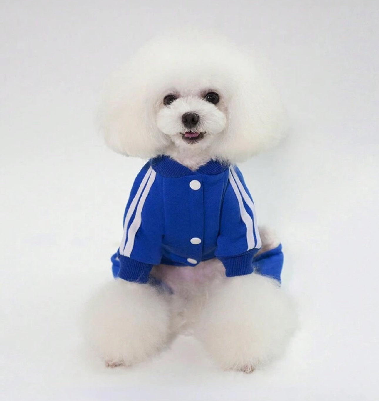 Blue Sportive Pet Jumpsuit