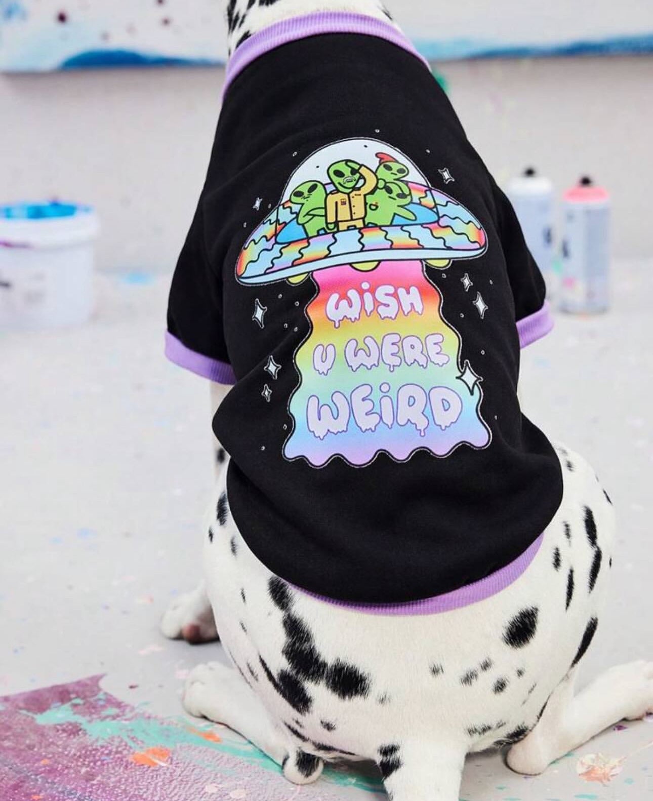 Cozy Fleece Sweatshirt big Dogs