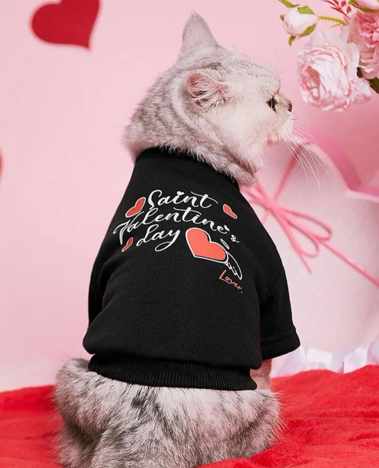 Saint Valentine’s Day Shirt