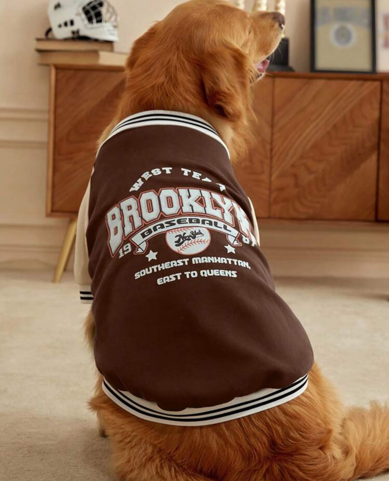 Brown Dog Sweatshirt Jacket