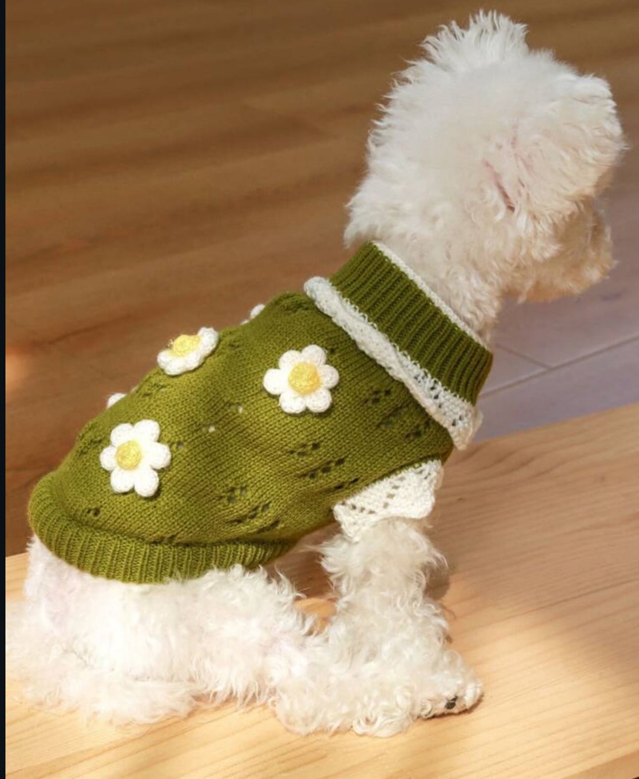 Green Turtleneck Wool Sweater
