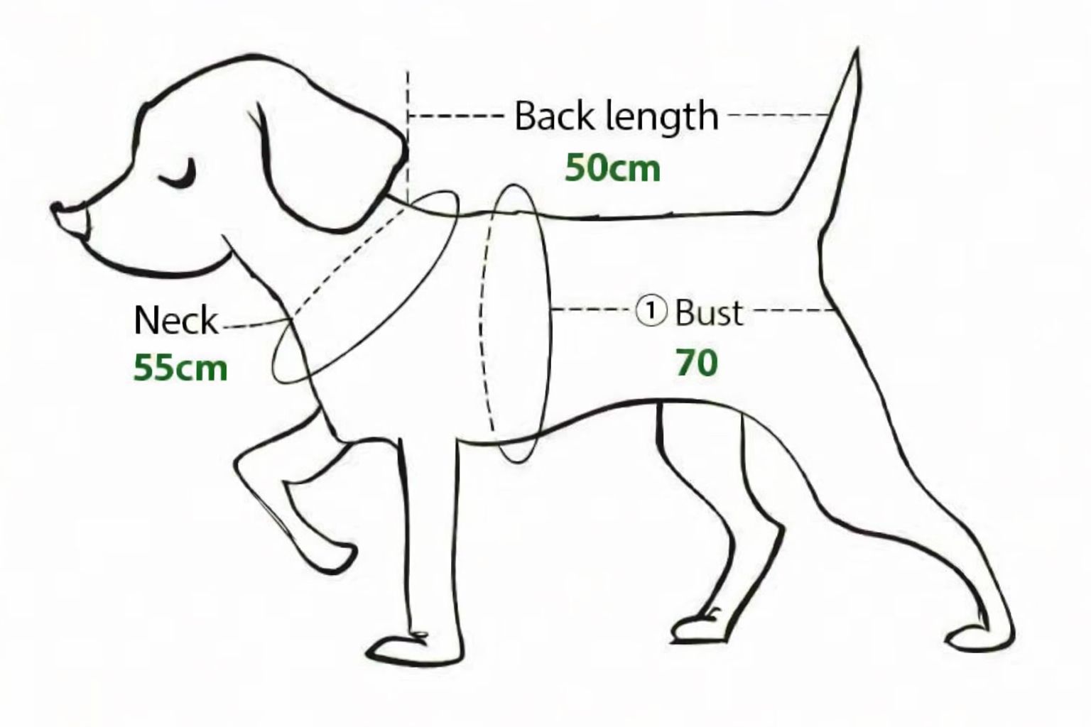 Waterproof Winter Jacket🐶❄️