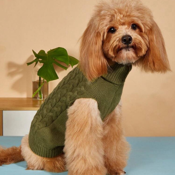 Turtleneck Sweater – Army Green