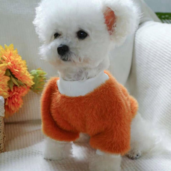 Daisy Fluffy Winter Pets Sweater 🌼❄️