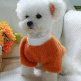 Daisy Fluffy Winter Pets Sweater 🌼❄️