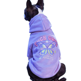 Cute Butterfly Fleece Dog Hoodie 🦋