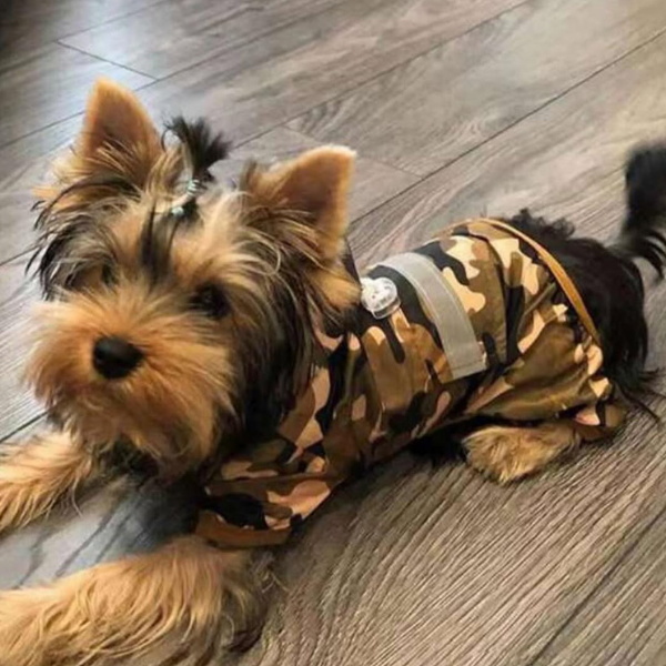 Camouflage Dog Raincoat 🐶🌧️