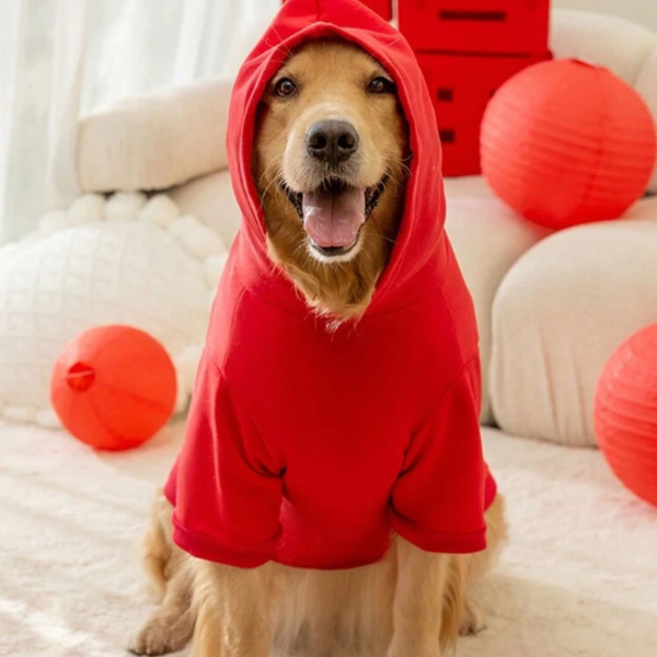 Pullover Fleece Hoodie