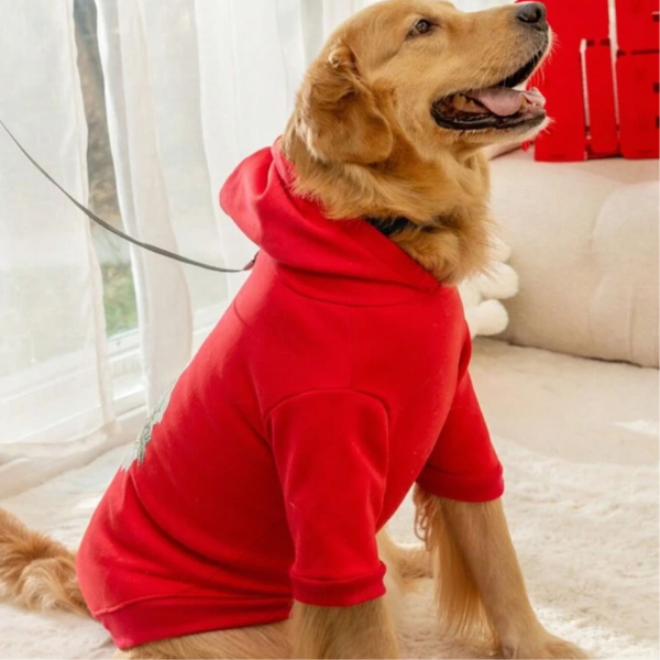 Pullover Fleece Hoodie