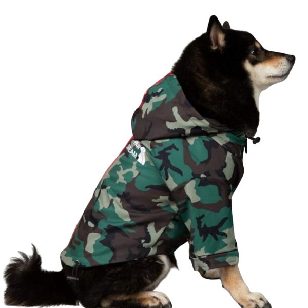 Camouflage-Patterned Raincoat