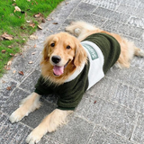 Sheep Fur Style Dog Hoodie
