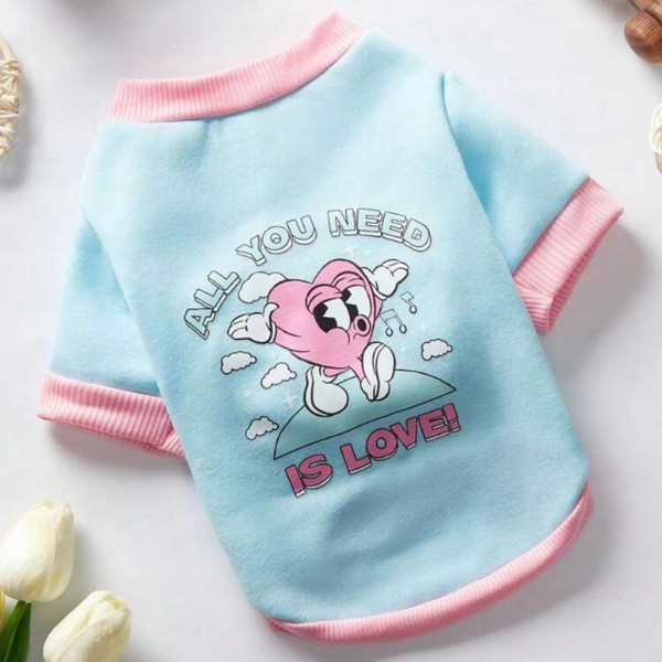 Baby Blue Fleece Sweatshirt